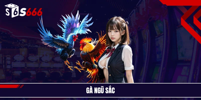 Gà ngũ sắc